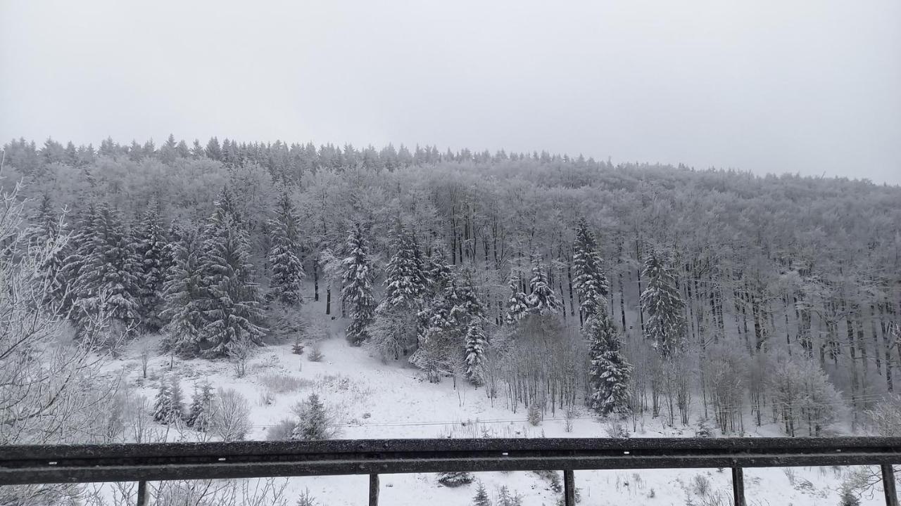 Monteur- Und Ferienwohnung Waldrauschen Fehrenbach Eksteriør bilde