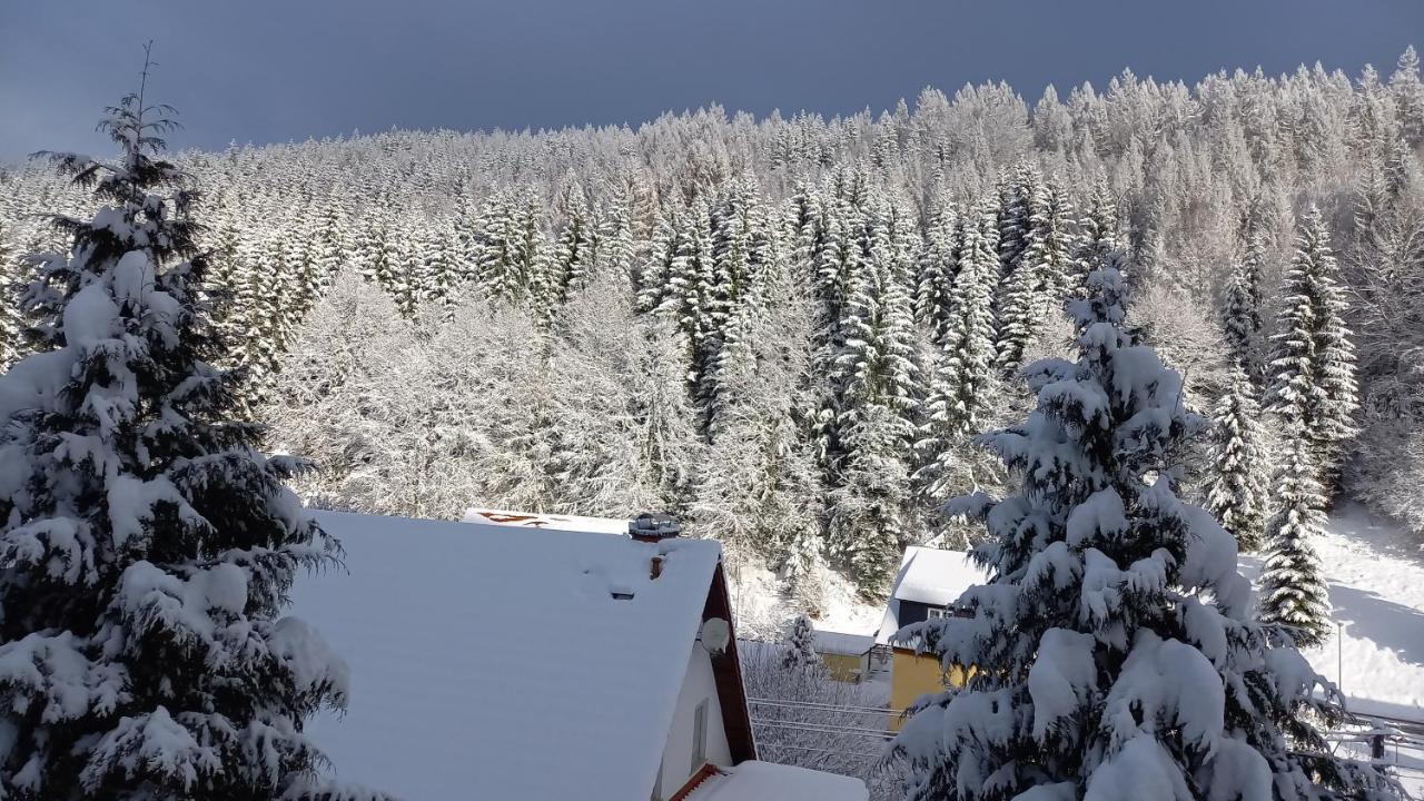 Monteur- Und Ferienwohnung Waldrauschen Fehrenbach Eksteriør bilde