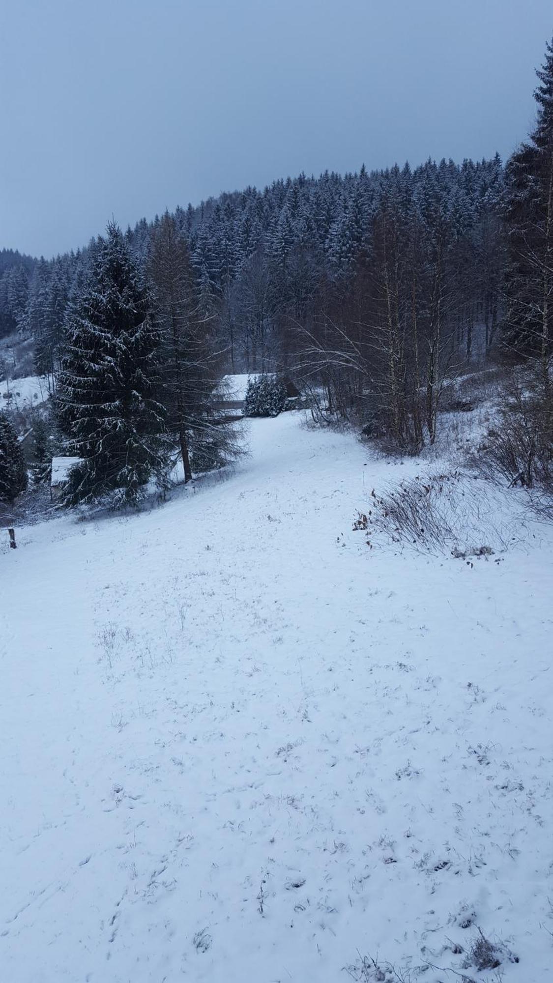 Monteur- Und Ferienwohnung Waldrauschen Fehrenbach Rom bilde